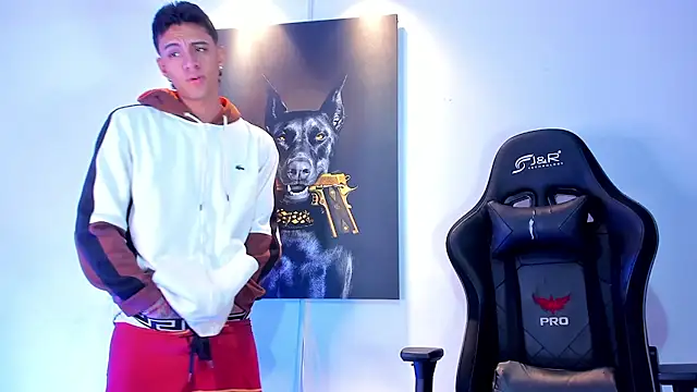 stiven 24cm online show from 21, 11, 2025