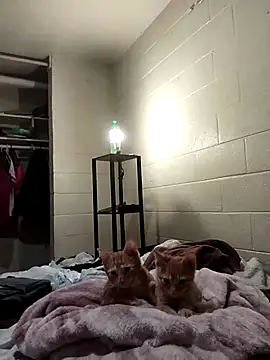 SITHANDRAH online show from 2, 12, 2025