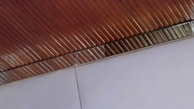 LannyShell online show from 26, 2, 2026