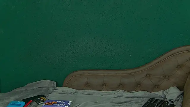 Snapshot of ZelinneArab chatting on 10, 11, 2025 ZelinneArab online show from 10, 11, 2025