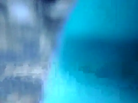 Bistrov19 online show from 7, 11, 2025