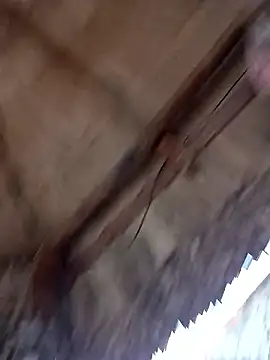 prototipoA45 online show from 13, 1, 2026