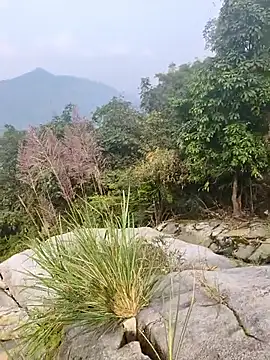 Lynly k2 online show from 21, 12, 2025