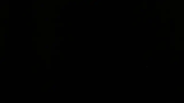 shark boy28 online show from 20, 11, 2025