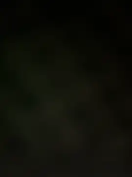 trickydickydaddy online show from 13, 3, 2026