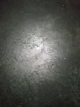 WillfulVideo online show from 13, 11, 2025