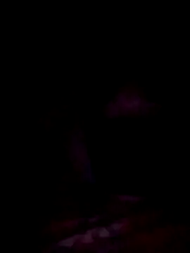 jacka 305 online show from 29, 11, 2025