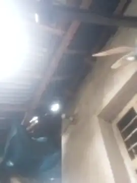 jacka 305 online show from 17, 1, 2026