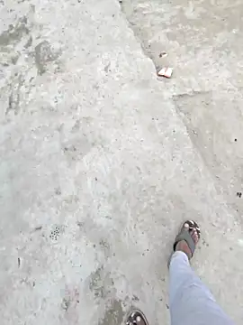 Pagalladka-89 online show from 1, 12, 2025