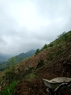 blonde blg online show from 24, 3, 2026