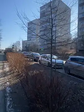 Dona Mafia online show from 22, 12, 2025