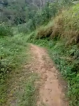 Snapshot of Cloud-wh chatting on 5, 3, 2026 Cloud-wh online show from 5, 3, 2026