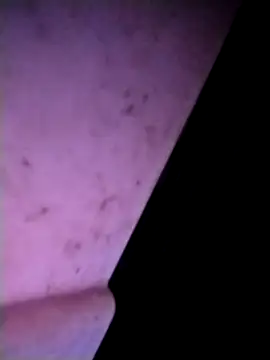 m-mbae online show from 25, 2, 2026