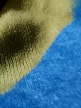 GG23MVP online show from 30, 11, 2025