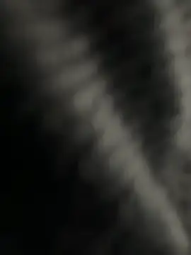 Snapshot of kangro_80 chatting on 1, 12, 2025 kangro 80 online show from 1, 12, 2025