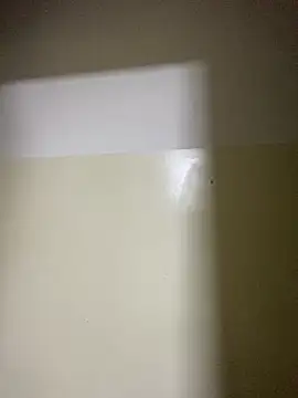 pitty mymi online show from 27, 3, 2026