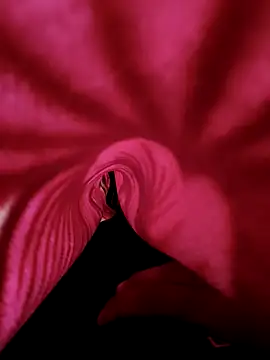 DesiAnita3693 online show from 21, 11, 2025