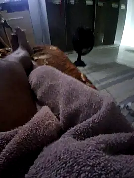 krett65 online show from 5, 12, 2025