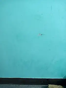 Sexacock01 online show from 4, 2, 2026