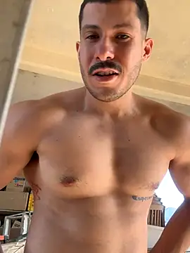 DARG 17 online show from 18, 11, 2025