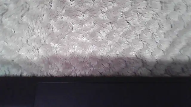 Snapshot of Pineapple chatting on 18, 11, 2025 Pineapple online show from 18, 11, 2025