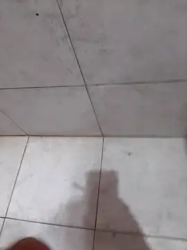 Parejahot534 online show from 16, 4, 2026