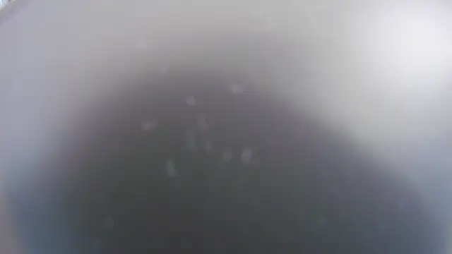 Noah Greenhart online show from 15, 1, 2026