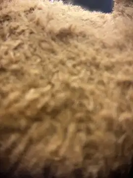 valeryfox   online show from 18, 3, 2026