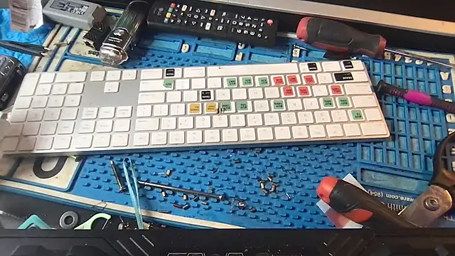 SinlessFreedom7 online show from 31, 1, 2026