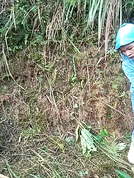 nangmo online show from 1, 3, 2026