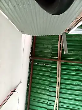 Lin-kute98 online show from 10, 3, 2026