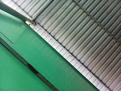 Lin-kute98 online show from 7, 4, 2026