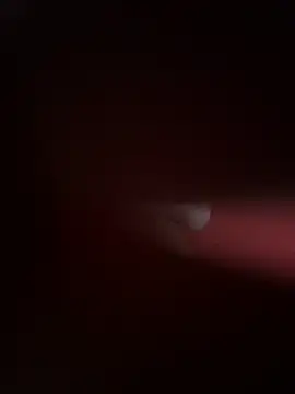 PartiedOmelet online show from 24, 11, 2025