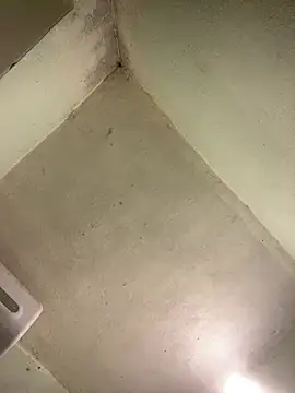 muti99 online show from 27, 2, 2026