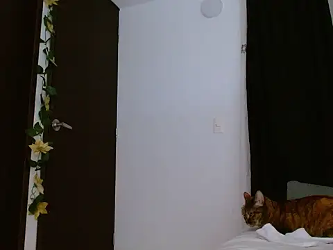 seductrixee online show from 12, 1, 2026