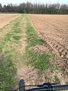 marconordic online show from 21, 3, 2026