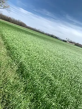 marconordic online show from 29, 3, 2026