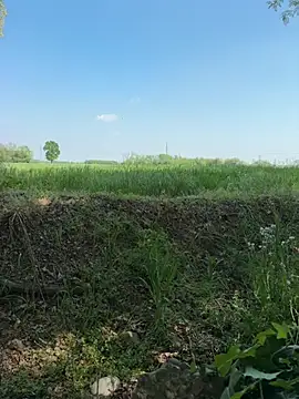 marconordic online show from 18, 4, 2026