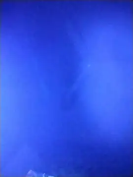 qaarlyfogosa online show from 11, 2, 2026