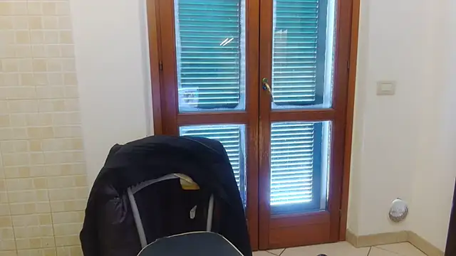 AMIRDIB2025 online show from 21, 2, 2026