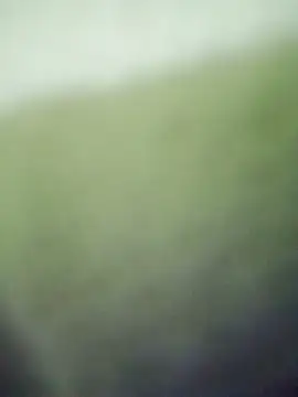 HKOOOH80 online show from 27, 11, 2025