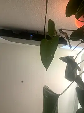 Snapshot of redheadangel_5 chatting on 29, 11, 2025 redheadangel 5 online show from 29, 11, 2025