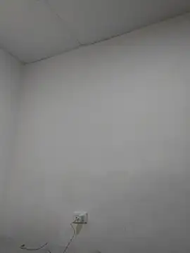 laia williamss online show from 13, 1, 2026