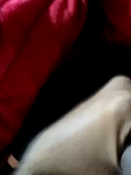 mast boy online show from 14, 12, 2025