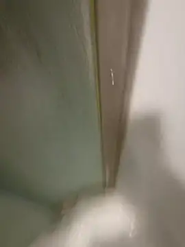 Lalin2323 online show from 8, 4, 2026