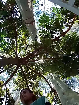 Negok1ng17cm online show from 4, 12, 2025