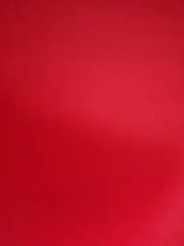 Hilary-123 online show from 9, 2, 2026