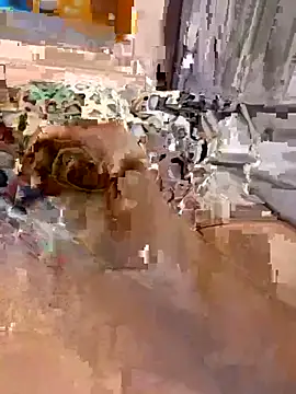 Snapshot of en93000 chatting on 7, 4, 2026 en93000 online show from 7, 4, 2026