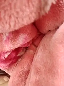 Snapshot of eujaamii chatting on 2, 12, 2025 eujaamii online show from 2, 12, 2025