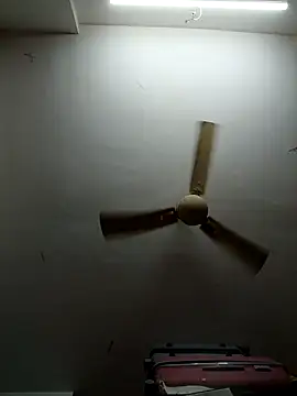 Snapshot of shilpa-singh chatting on 5, 3, 2026 shilpa-singh online show from 5, 3, 2026